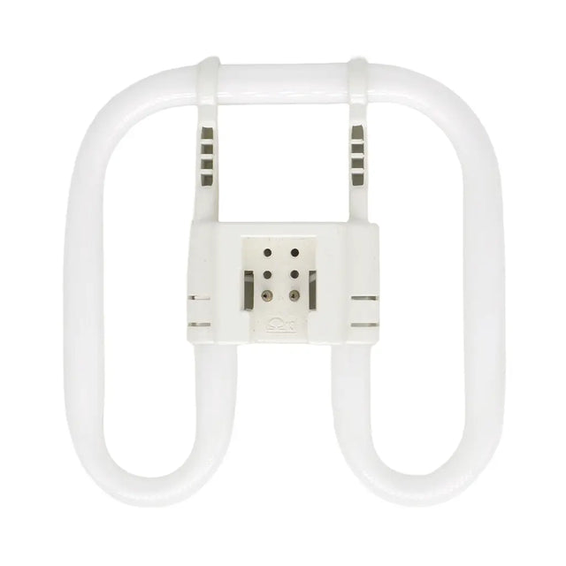 CFL light bulb on a white background