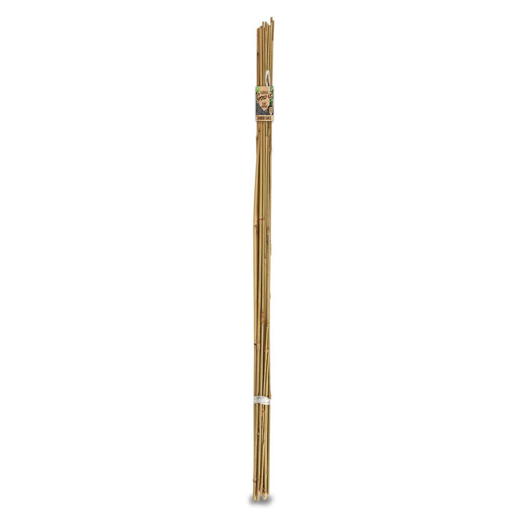 Brunnings Stake Bamboo Cane 1.5m 10Pcs 63040