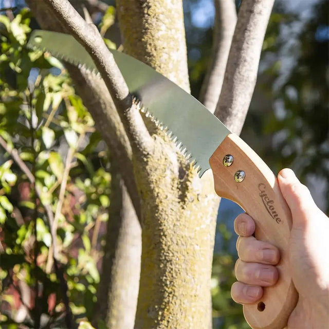 Hand using a pruning saw to cut a branch from a tree