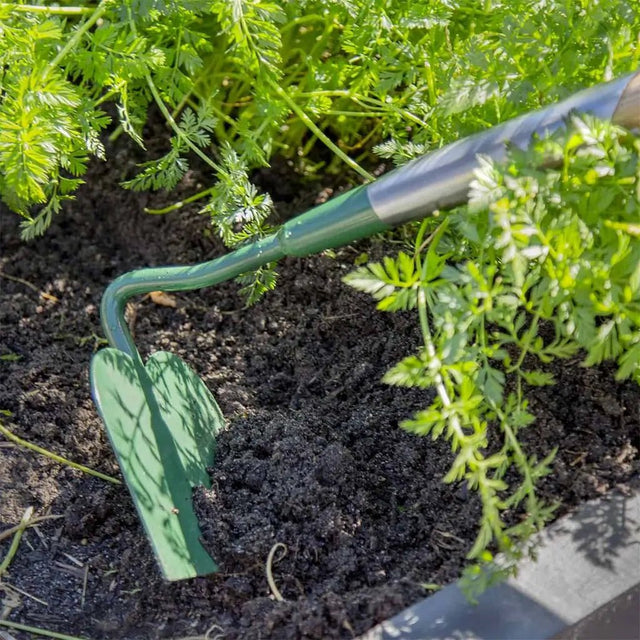 Garden hoe being used to cultivate soil with plants around
