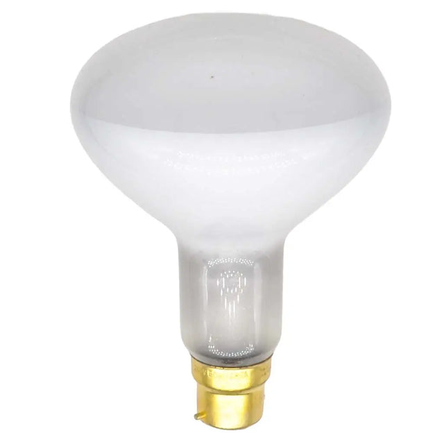 White light bulb with gold base on a white background
