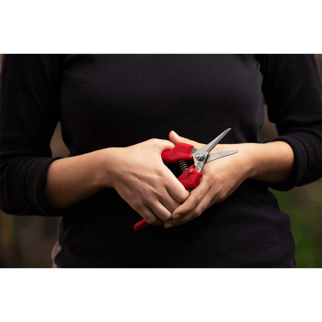 FELCO Stainless Steel Picking and Trimming Snip 310