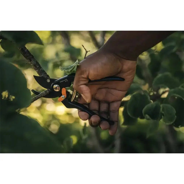 Hand holding a pair of pruning shears with a blurred natural background