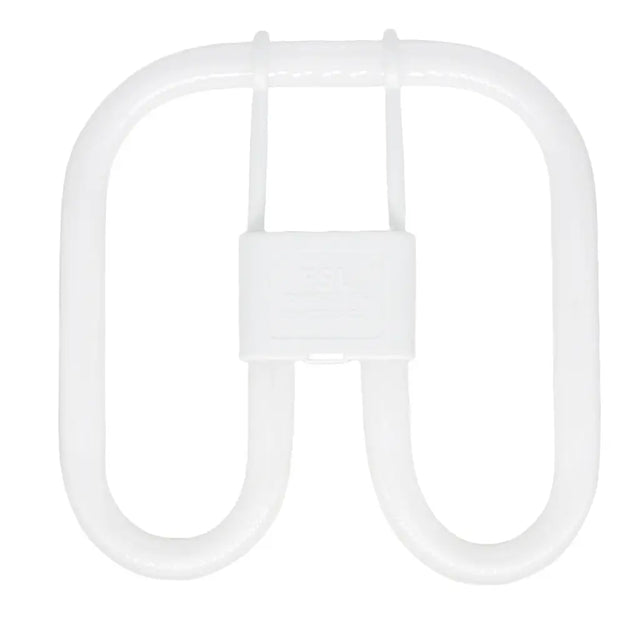 2d Compact fluorescent light bulb on a white background