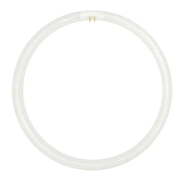 Clear plastic tube on a white background
