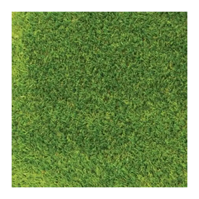 Close-up of green grass texture