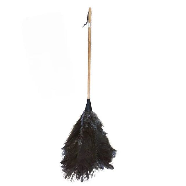 Black feather duster with wooden handle on a white background