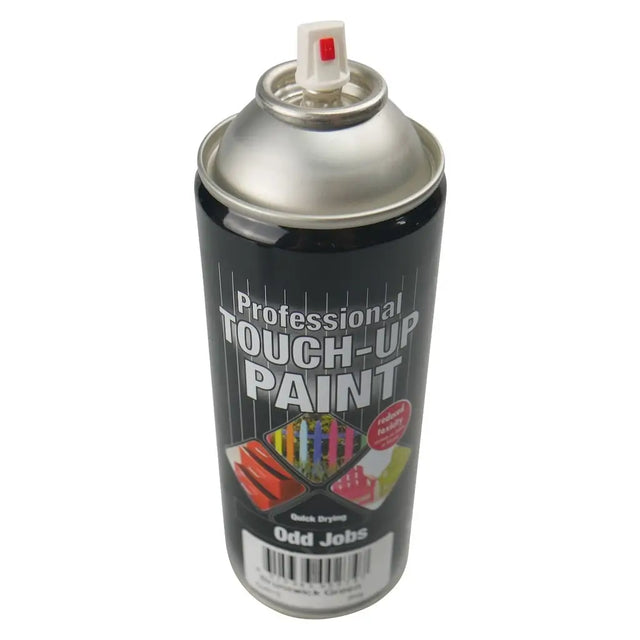 Spray paint can labeled 'Professional Touch-Up Paint' on a white background