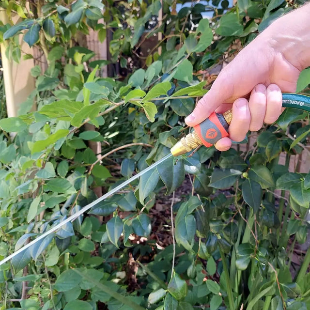 Person watering a plant with a garden hose in a garden setting