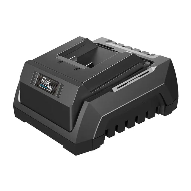 A black dual-port battery charger with a digital display showing 'iTek' and battery status, photographed on a solid white background.