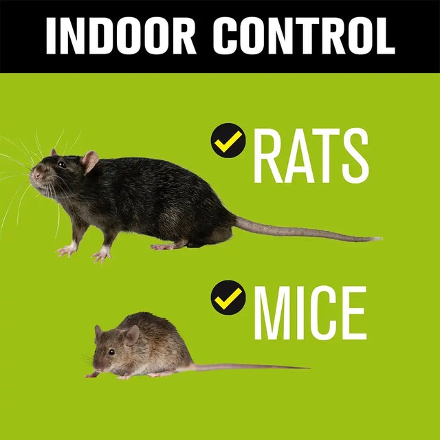 Promotional graphic with the text 'INDOOR CONTROL' on a black banner, showing two rodents on a bright green background: a larger rat above and a smaller mouse below, each with a checkmark and the word 'RATS' and 'MICE' in white.
