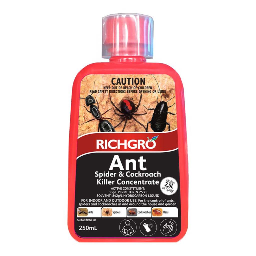 Richgro Ant Spider And Cockroach Killer Concentrate 250ml Double Bay