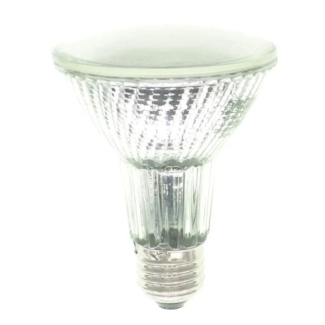 Clear PAR38 light bulb on a white background