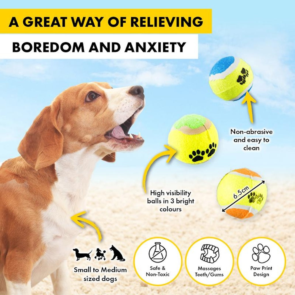 Tennis Fetch Balls 6.5cm 3Pcs