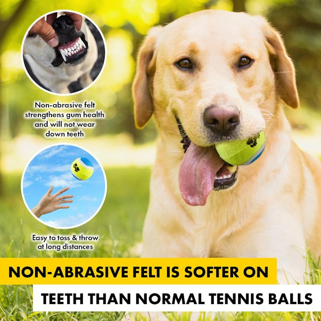 Tennis Fetch Balls 6.5cm 3Pcs