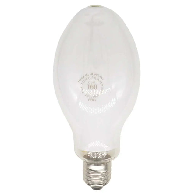 white light bulb on a white background