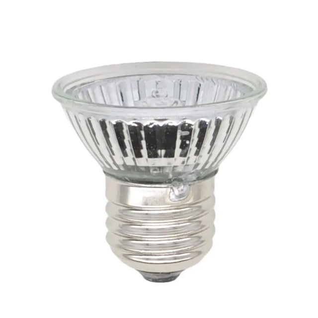 Halogen light bulb on a white background