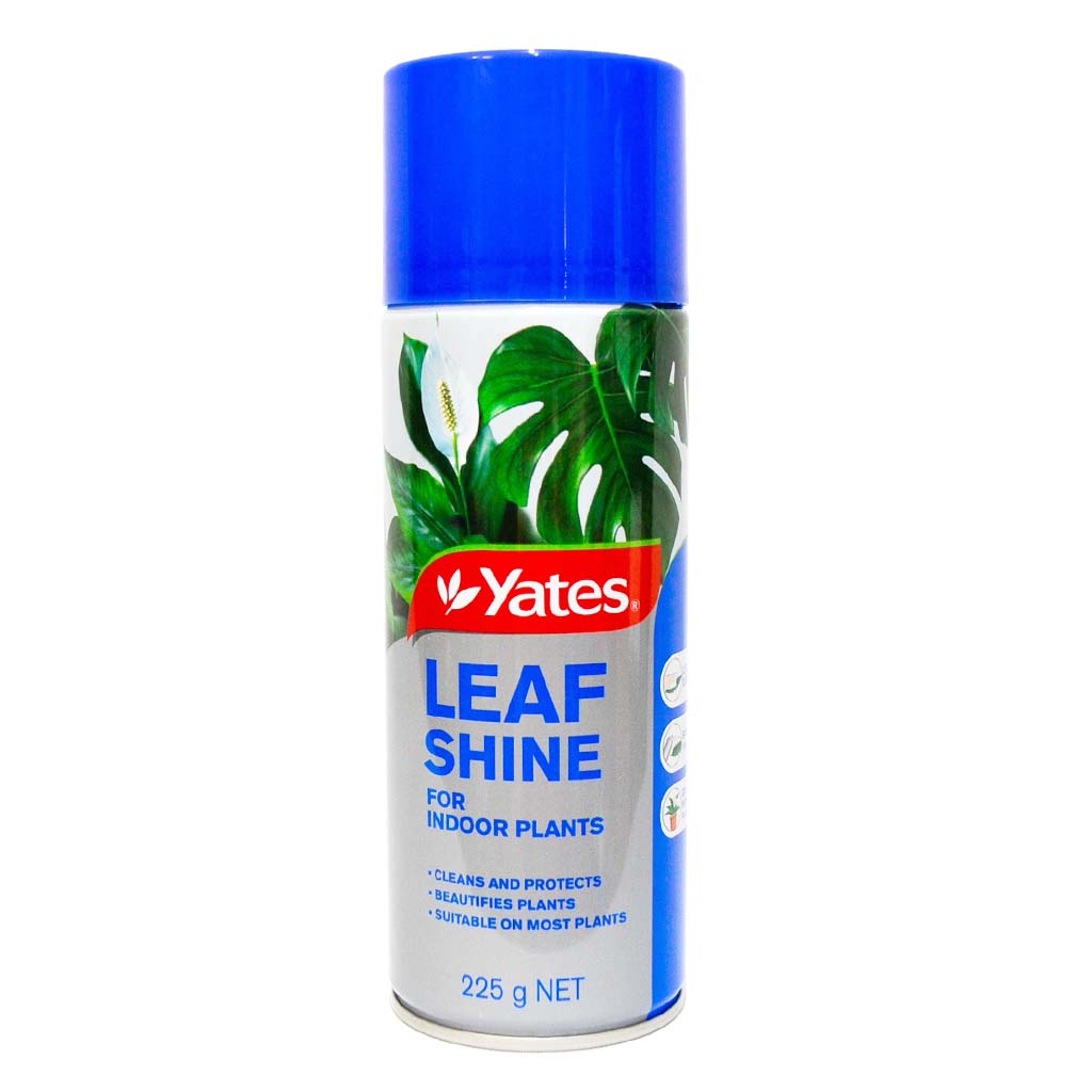 Yates Leaf Shine Aerosol Insecticide Protects and Beautifies Indoor Plants 225g