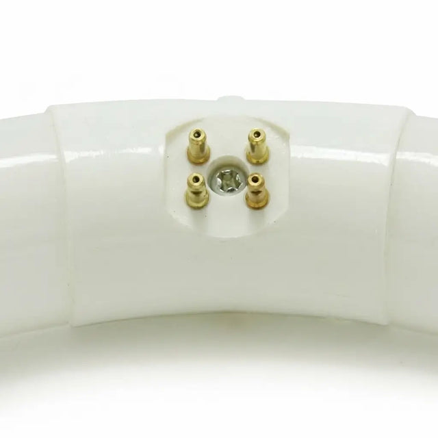 g10q fluorescent tube fitting white electronic component with gold connectors on a white background