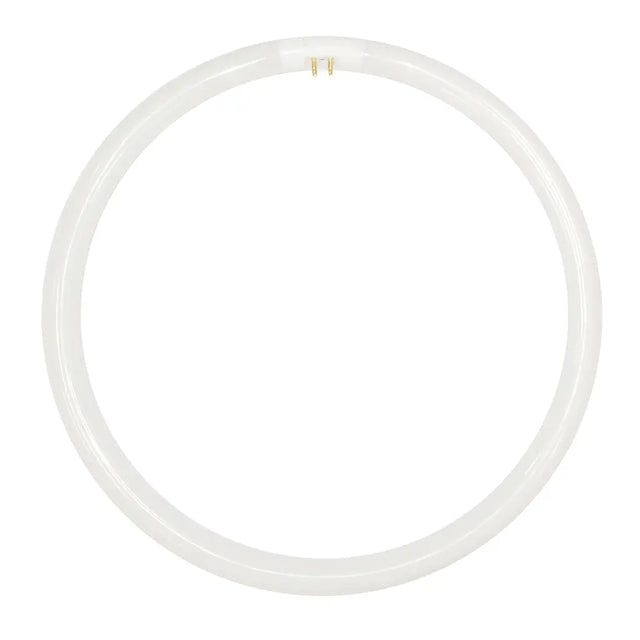 nls T5 Circular Fluorescent G10q 240V 55W/865 296mm