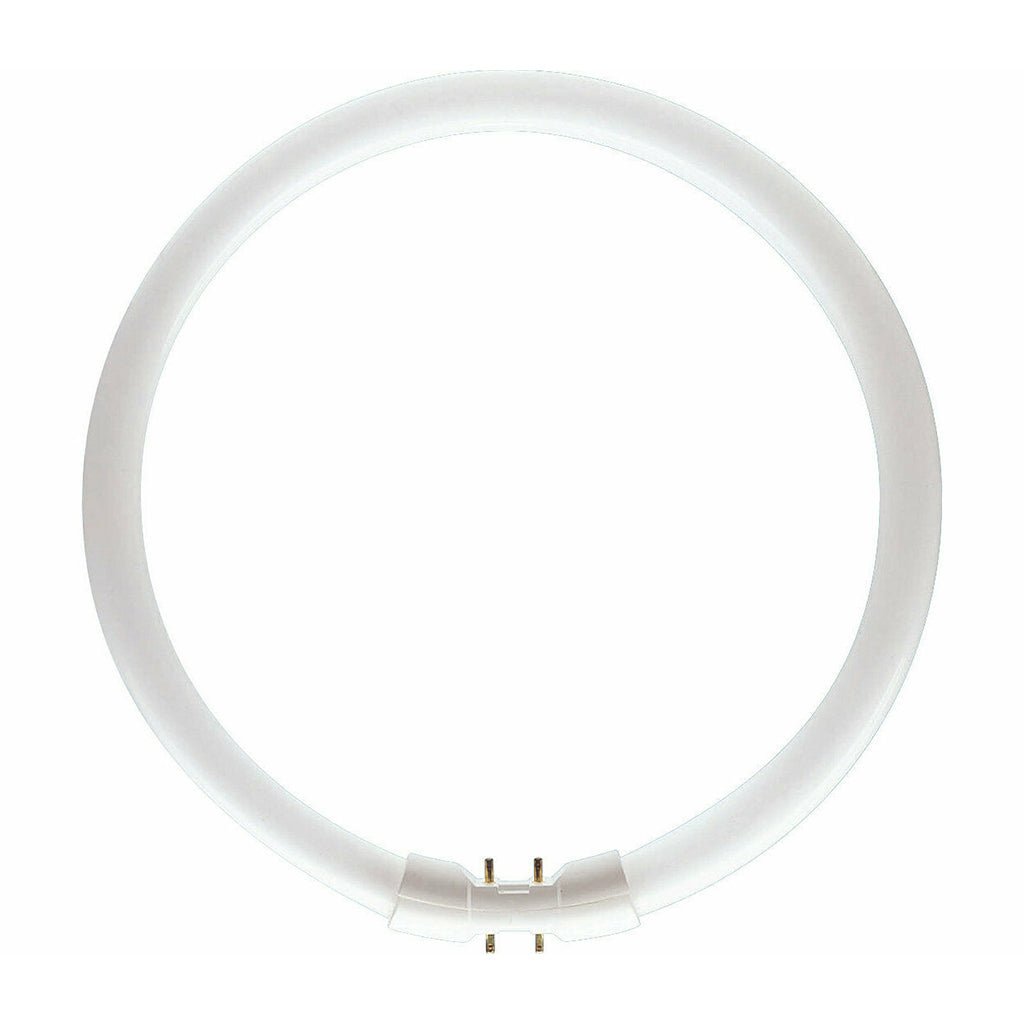 Riosheen Circular Fluorescent 2GX13 60W/865 370mm