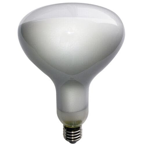 Crompton led bulb 12 on sale watt price