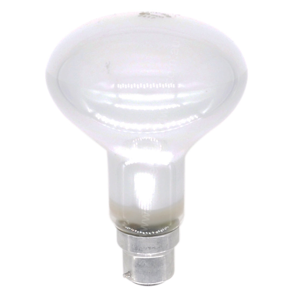 100w incandescent on sale