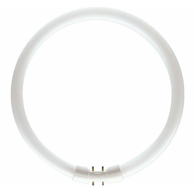 PHILIPS MASTER TL5 Circular Fluorescent 2GX13 22W/840 225mm