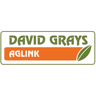 DAVID GRAYS