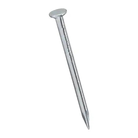 bullet head nail, clout nail, concrete nail, flat head nail, pins nail