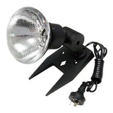 Flood & Spot Lights