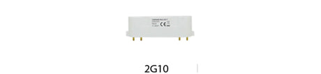 Light Bulb 2G10 | Double Bay Hardware