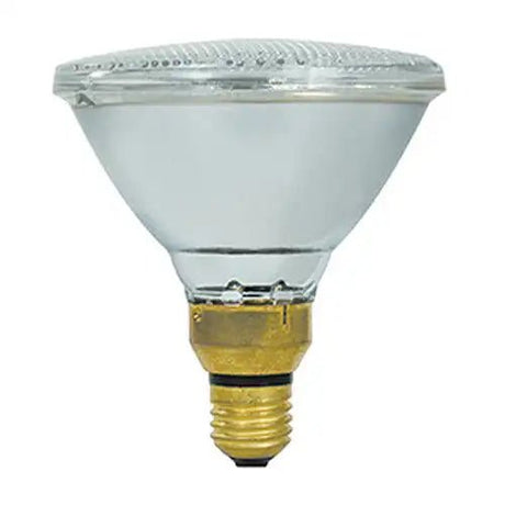 PAR reflect light bulb halogen and LED
