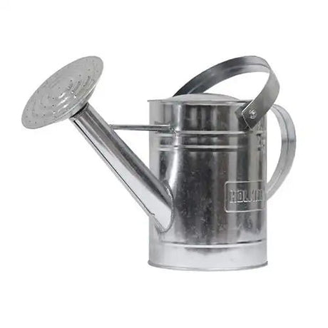 Metal watering can with a long angled spout and round sprinkler rose, featuring a top carry handle, designed for controlled watering of garden plants and seedlings.