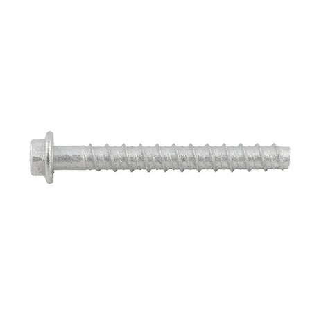 Metal screw on a white background