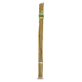 Bamboo stakes with a green label on a white background
