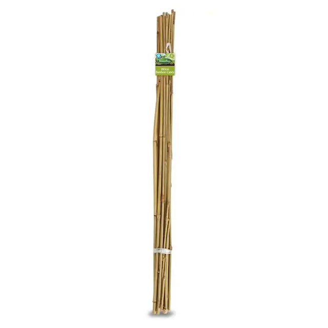 Bamboo stakes with a green label on a white background