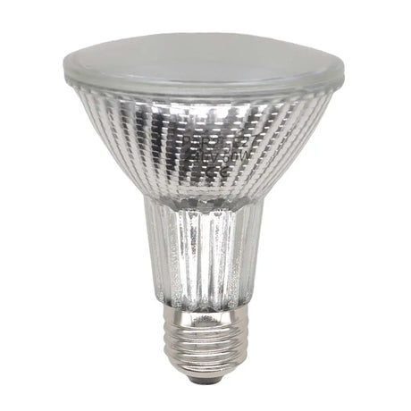 Halogen light bulb on a white background