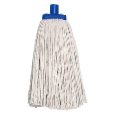 White mop head with blue handle on a white background