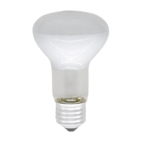 Light bulb on a white background