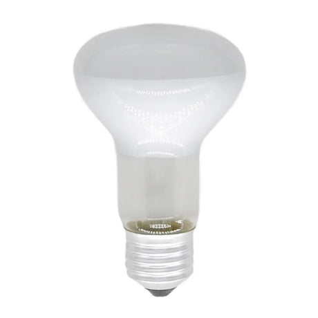 Light bulb on a white background