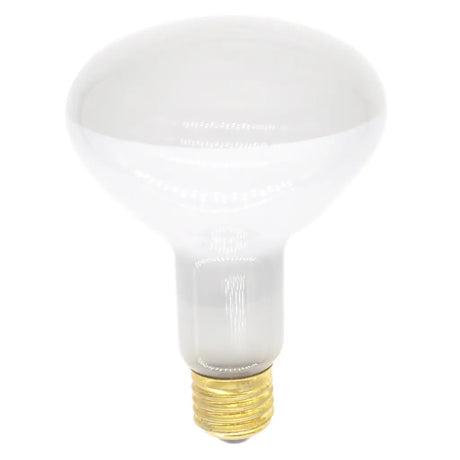 White light bulb on a white background