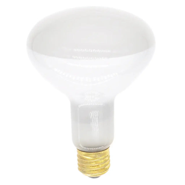 White light bulb on a white background