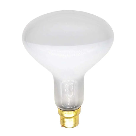 White light bulb with gold base on a white background
