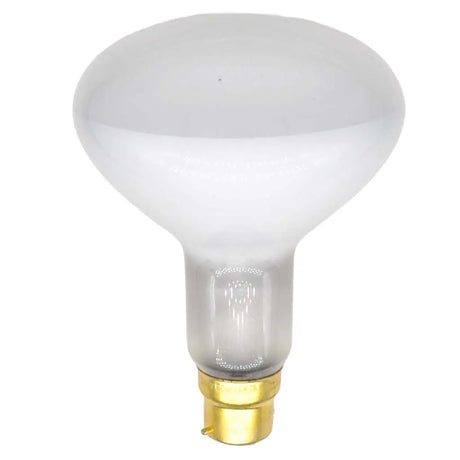 White light bulb with gold base on a white background