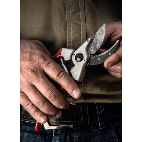 FELCO Original Secateurs Felco 2