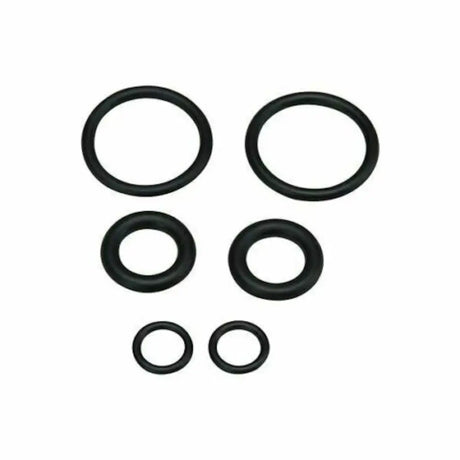 Set of black rubber o-rings on a white background