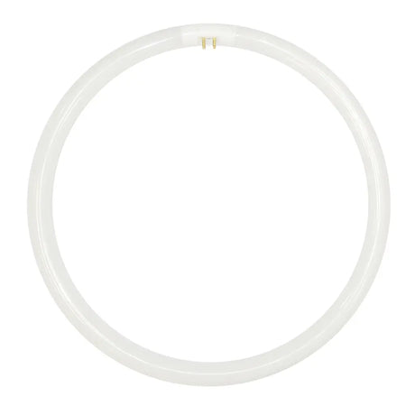 Clear plastic tube on a white background