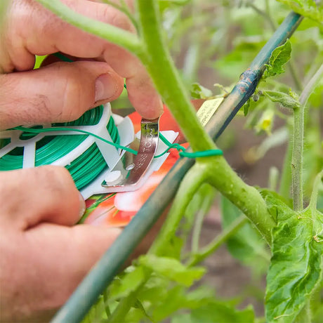 Person using a tool to tie green string around a plant stem.