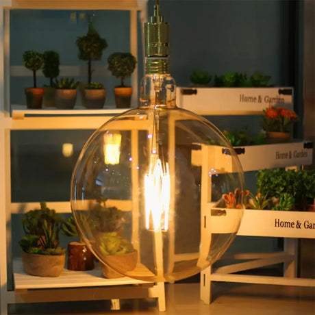 Decorative light bulb with a clear glass shade in a home setting with plants and furniture.